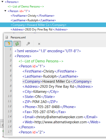 Easy XML Editor Pro - XML Software